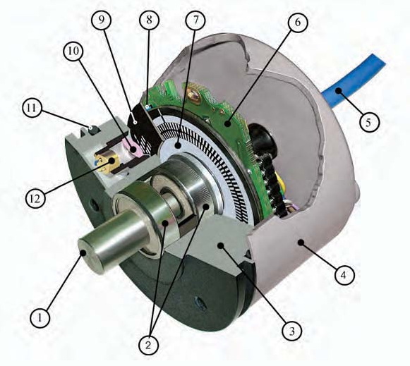 structure interne d'un codeur incrémental rotatif industriel